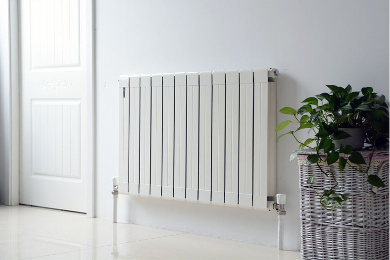 菲斯曼 暖气片 fsm30-100