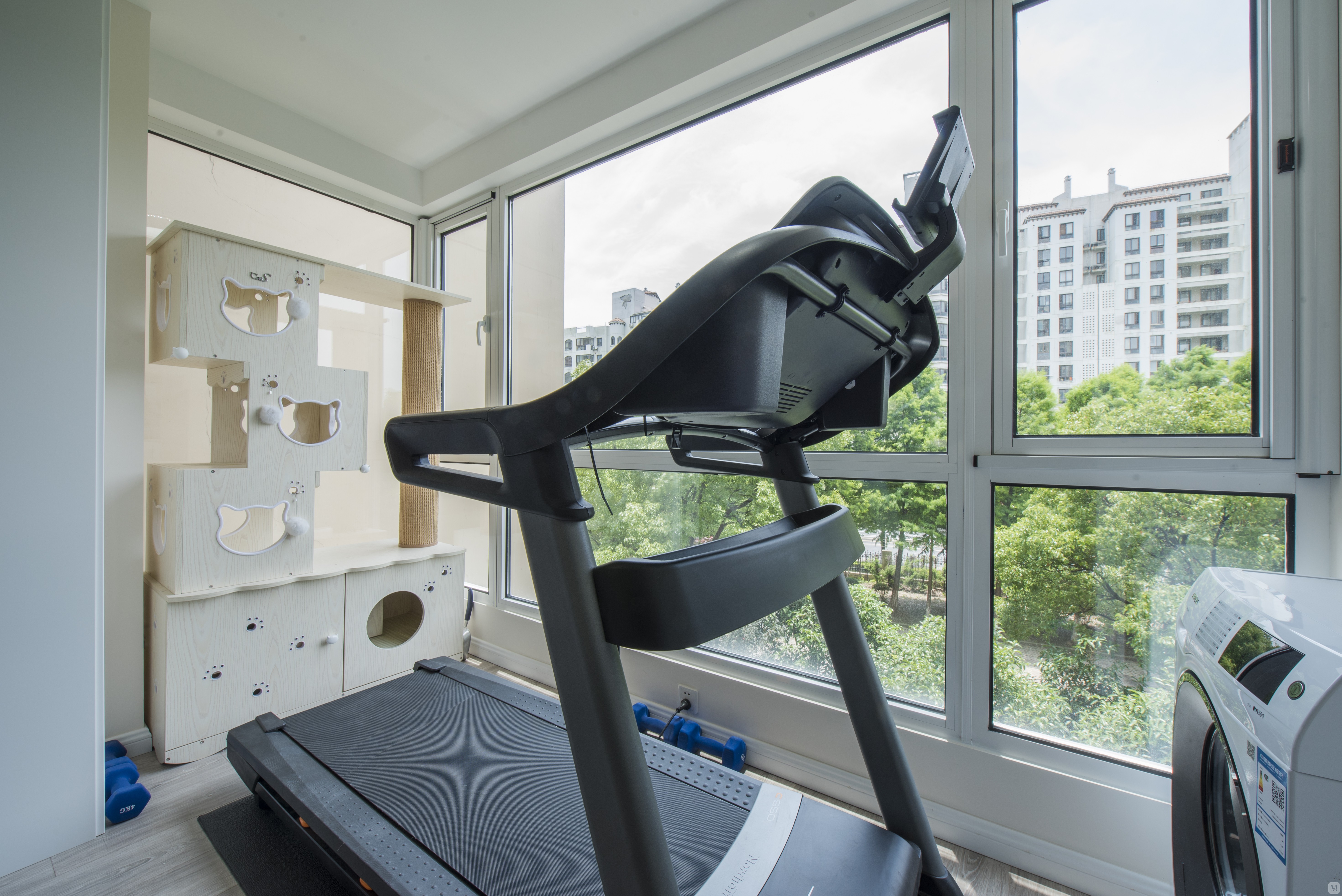 将跑步机和猫树安置在南阳台,窗户外的视野尽收眼底.