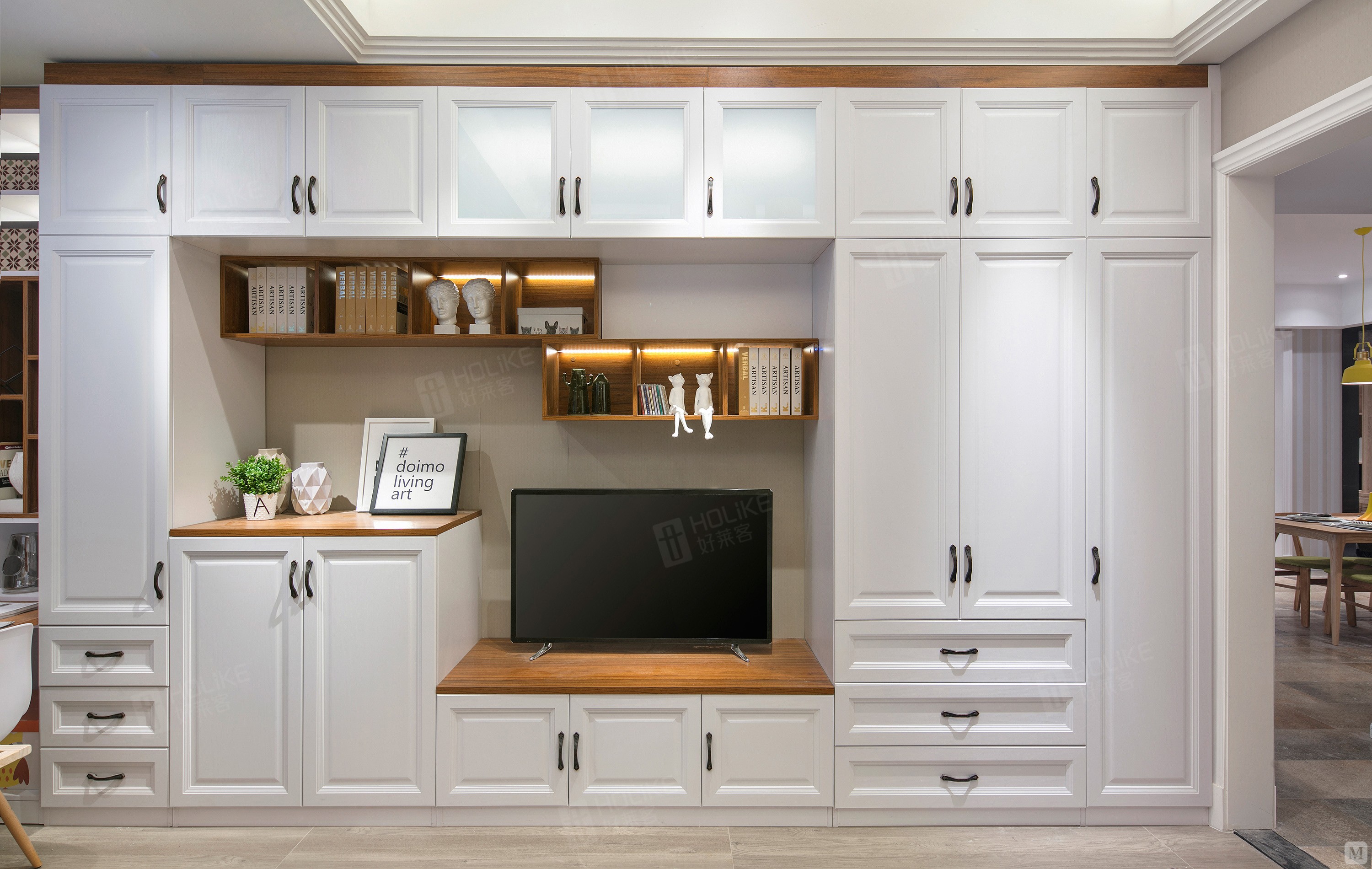 好莱客 开门柜柜体板 欧式电系列视柜 好莱客衣柜