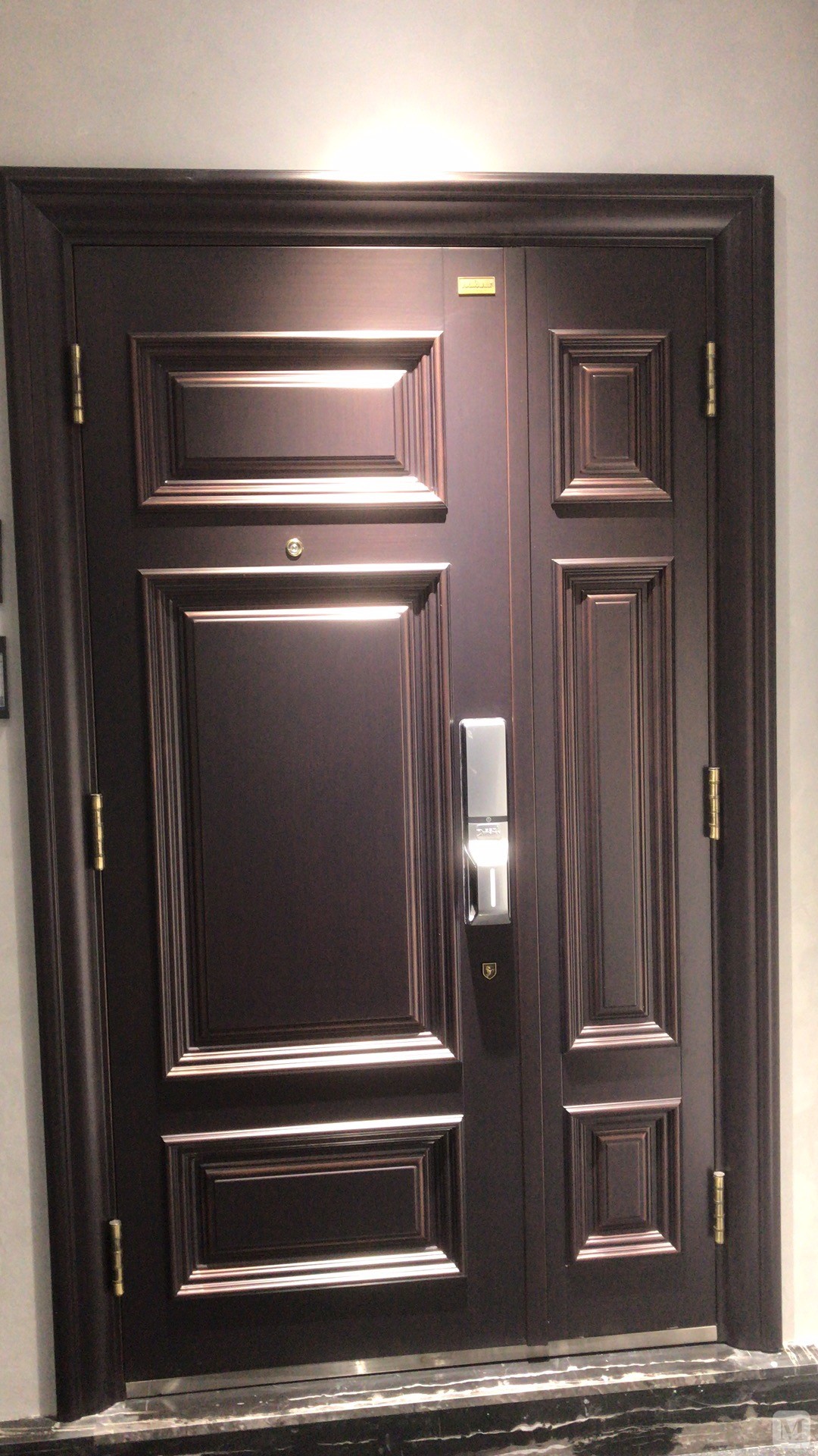 雅帝乐 雅帝乐防盗门 私人定制